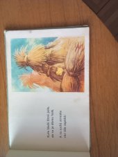 kniha Kuřátko a obilí, SNDK 1958