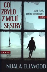 kniha Co zbylo z mojí sestry, Domino 2018