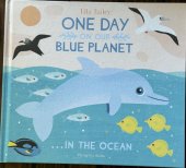 kniha One Day on our Blue Planet ...in the Ocean, Flying Eye Books 2018