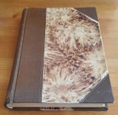 kniha Věčný žid Kniha čtvrtá román., F. Topič 1926