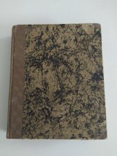 kniha Černý kosatec román, Politika 1929