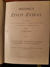 kniha Brehmův Život zvířat díl 4. - Členovci, červi, měkkýšovití, měkkýši, ostnokožci, láčkovci a prvoci, J. Otto 1906