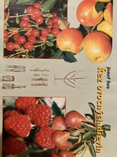 kniha Rez ovocných dřevin, Knihovnička zahrádkáře 1999