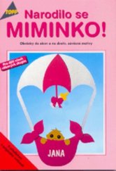 kniha Narodilo se miminko! obrázky do oken a na dveře, závěsné motivy, Anagram 2000