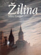 kniha Žilina , Osveta 1981