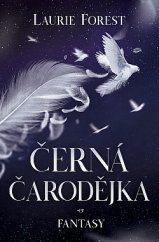 kniha Černá čarodějka, Kingcool 2019