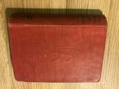 kniha Muž, který nepoznal lásky Román, Rodina 1930