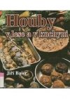 Houby v lese a v kuchyni