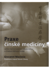 Praxe čínské medicíny