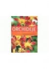 Orchideje