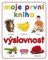 Výslovnost