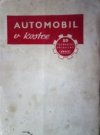 Automobil v kostce
