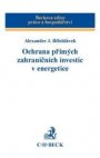 Ochrana přímých zahraničních investic v energetice