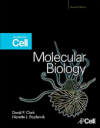 Molecular Biology