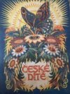 České dítě