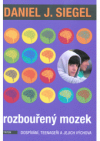 Rozbouřený mozek