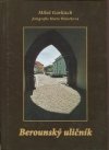 Berounský uličník