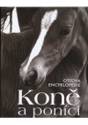 Koně a Poníci