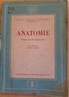 Anatomie