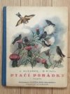 Ptačí pohádky