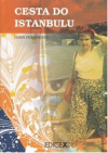 Cesta do Istanbulu