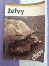 Želvy chov 