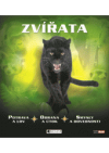 Zvířata