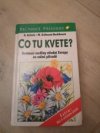 Co tu kvete?