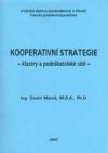 Kooperativní strategie - klastry a podnikatelské sítě -