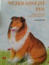 Nejkrásnější pes