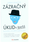 Zázračný úklid  v životě 