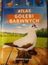 Atlas gołębi barwnych