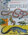 Reptiles